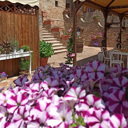 Diffuso Borgo Montemaggiore