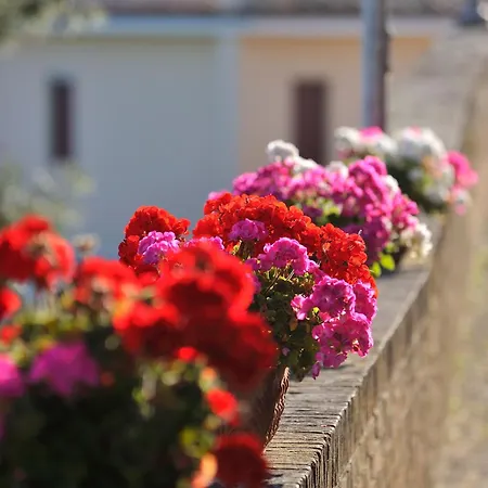 Diffuso Borgo Montemaggiore Ξενοδοχείο