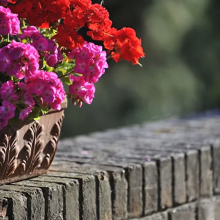 Ξενοδοχείο Diffuso Borgo Montemaggiore 5*